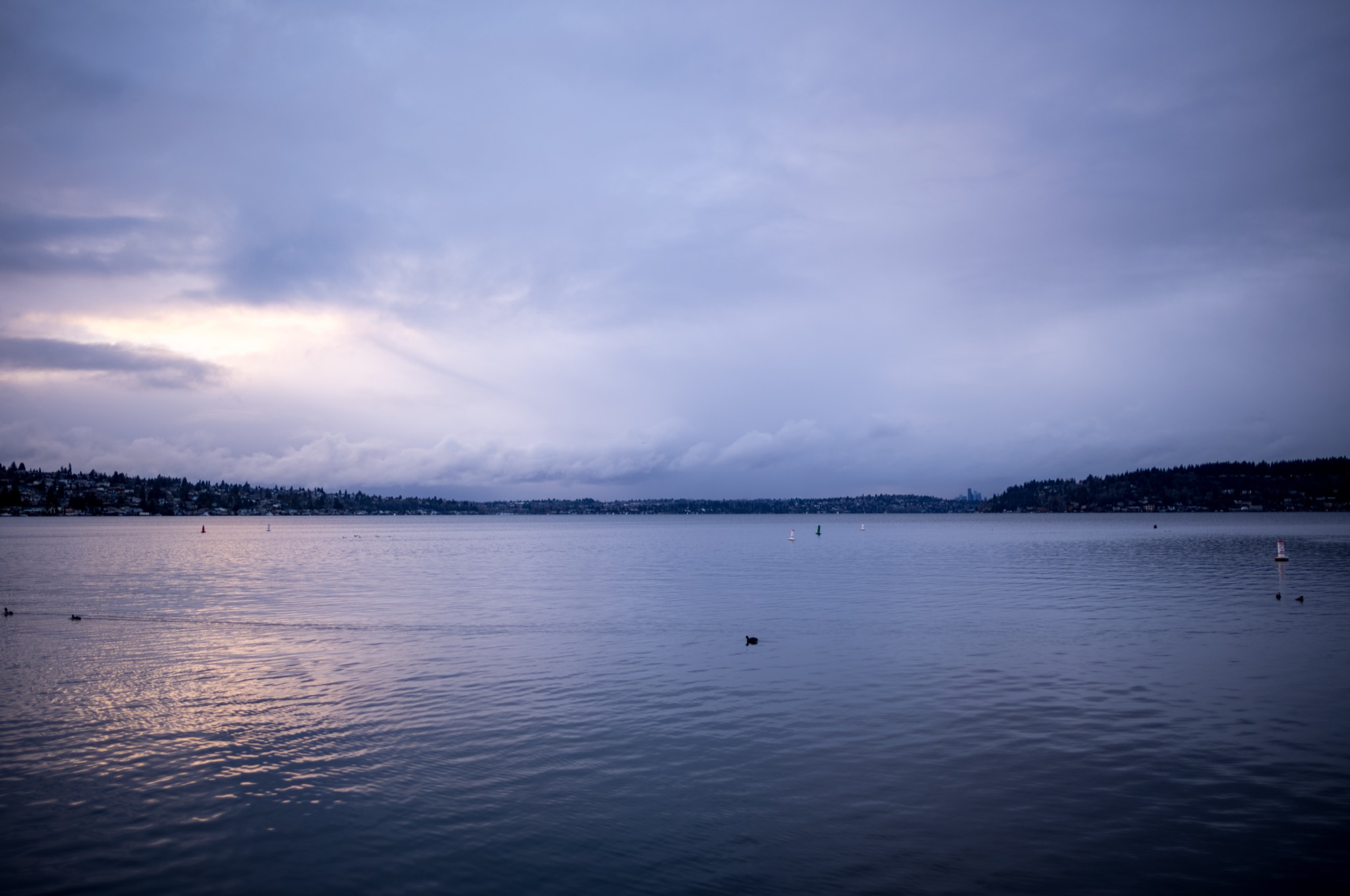 Lake Washington