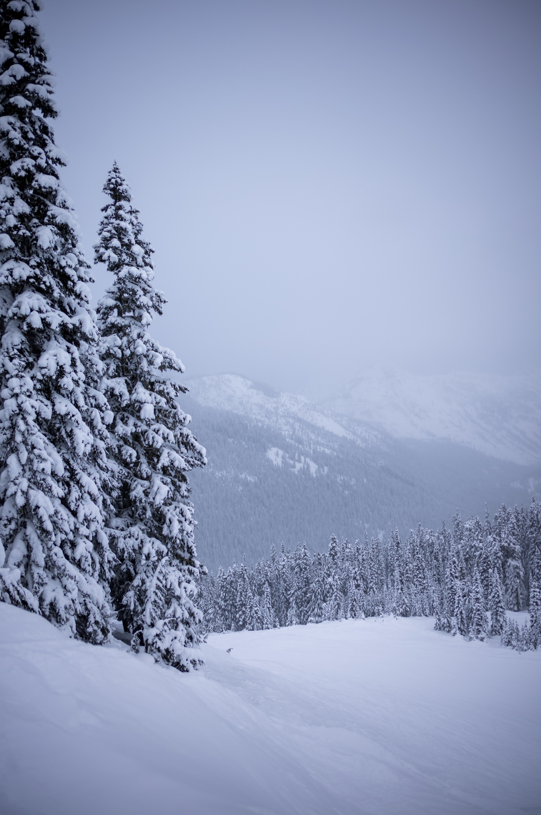 Stevens Pass