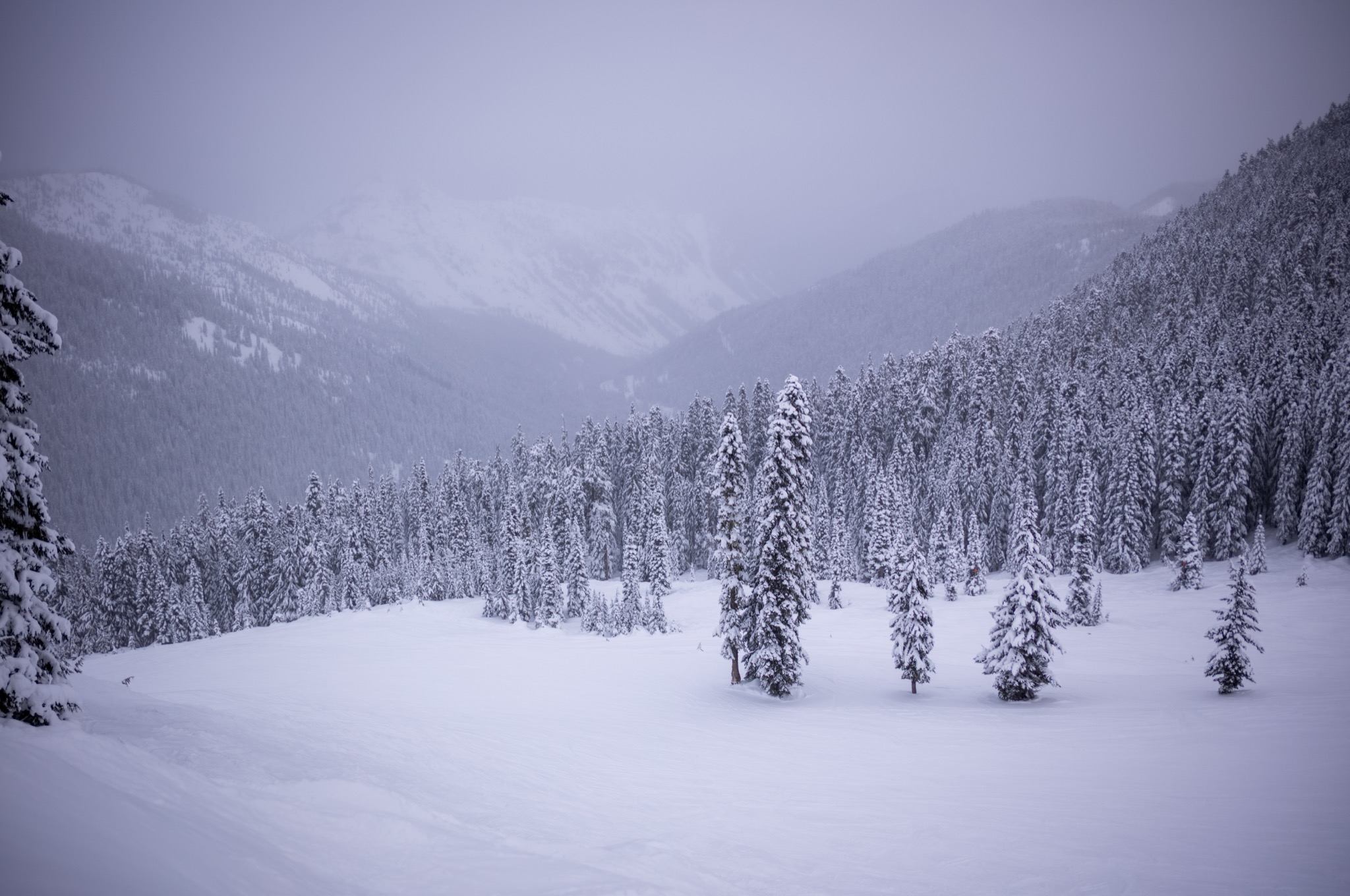 Stevens Pass