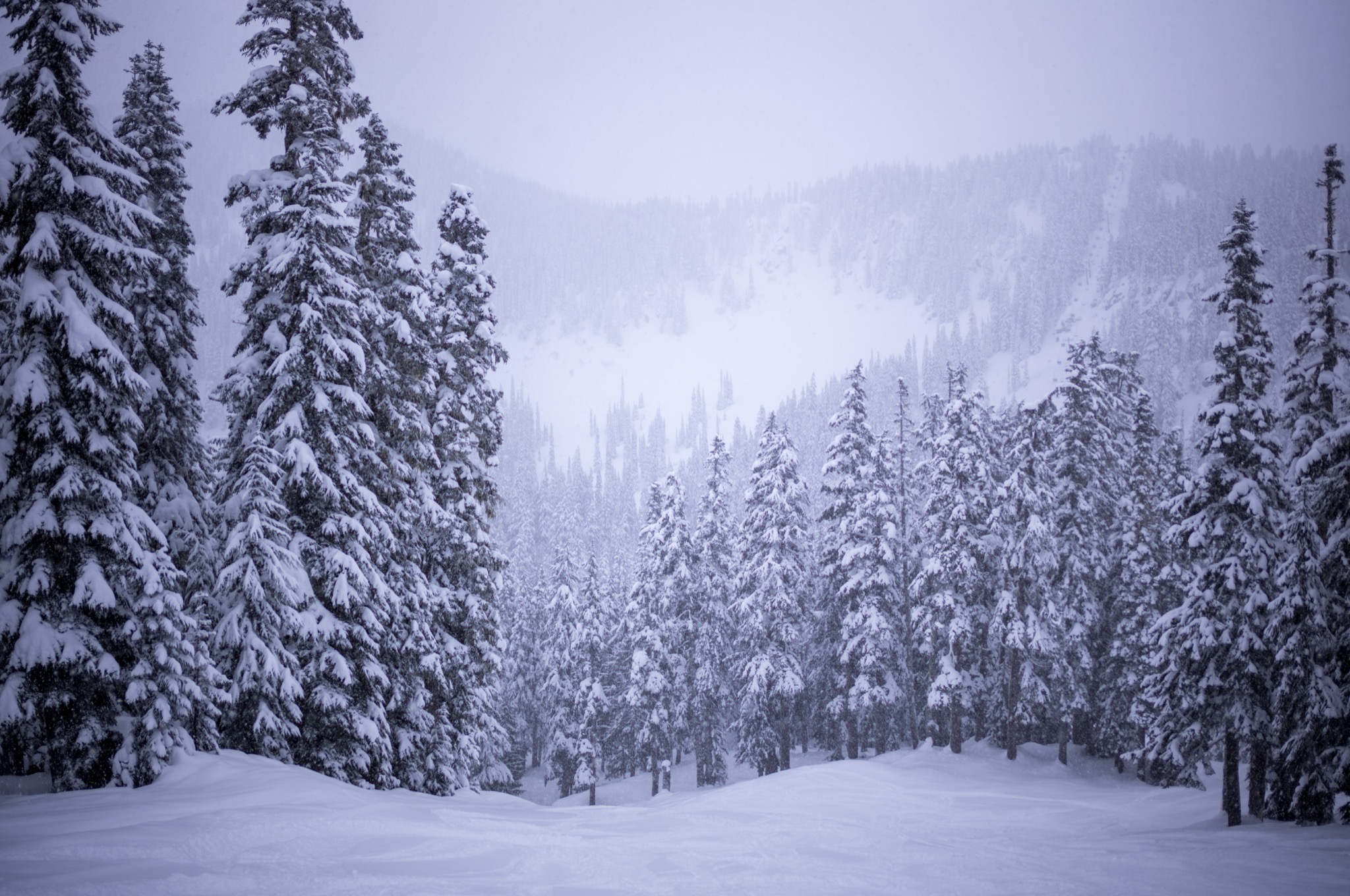 Stevens Pass